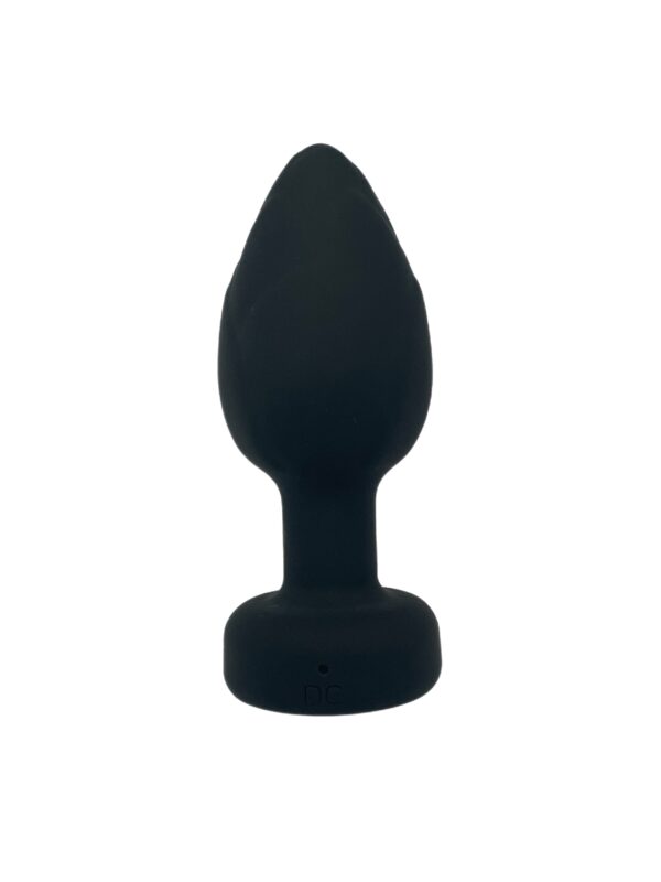 Flash Light Remote Vibrating Butt Plug-10% off - Image 4